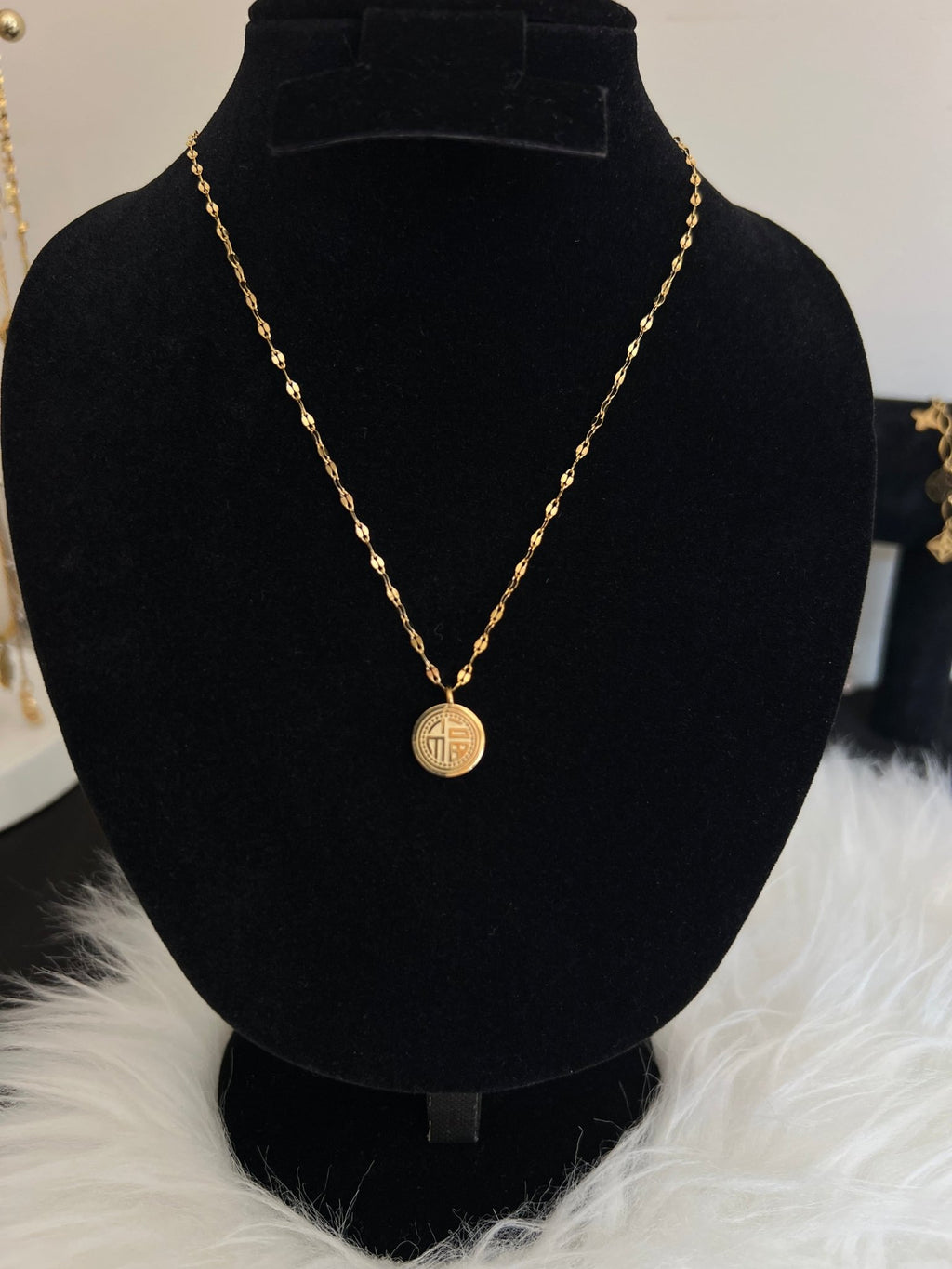 Gold Prosperity Coin Necklace - Stainless Steel - Delila Jewellery NZ